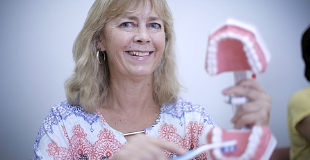 A female clinician holding a sample model of teeth